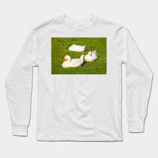 geese Long Sleeve T-Shirt